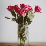 annie-spratt-568661-unsplash.jpg